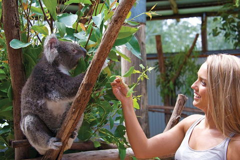 Private Guided Tour: Blue Mountains Tour From Sydney - Sydneys Hotel 5
