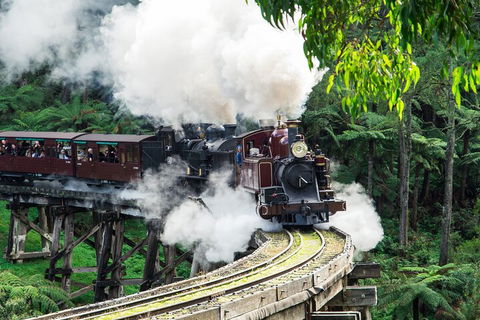 Puffing Billy And Healesville Sanctuary Scenic Tour - Sydneys Hotel 1