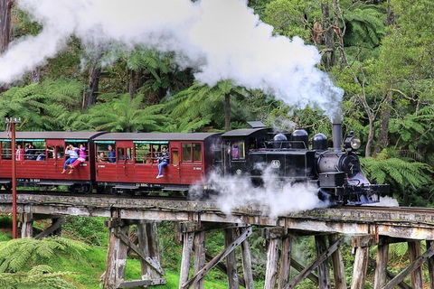 Puffing Billy And Healesville Sanctuary Scenic Tour - Sydneys Hotel 2