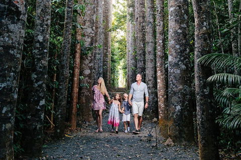 Paronella Park And Millaa Millaa Falls Full-day Tour From Cairns - Sydneys Hotel 5