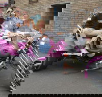 Sydney Sights Trike Tour 1 Hour - Sydneys Hotel