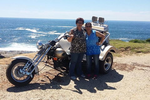 Bondi & Sydney Sights Trike Tour 1.5hrs - Sydneys Hotel 1