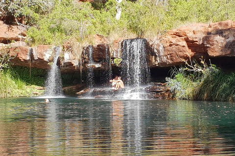 9 Day Perth To Broome Adventure - Sydneys Hotel 2