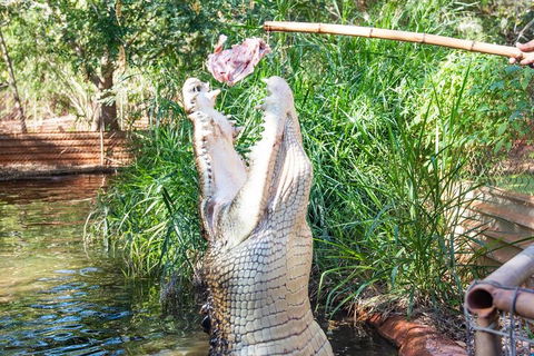 3 In 1 Tour: Matsoâ€™s Brewery, Broome Museum & Malcolm Douglas Crocodile Park - Sydneys Hotel 3