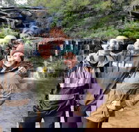 Blue Mountains Small Group Tour Enjoy a Sleep In Waterfalls Sunset  Dinner - Sydneys Hotel