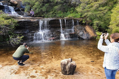 Blue Mountains Small Group Tour Enjoy A Sleep In, Waterfalls, Sunset & Dinner - Sydneys Hotel 2