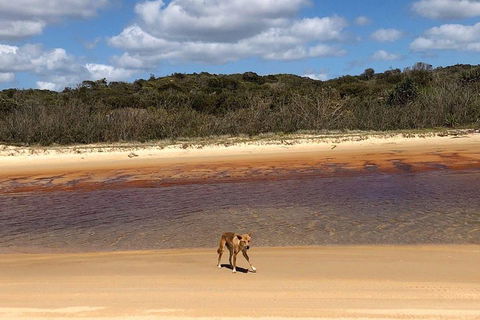 Pippies 3 Days 2 Nights Fraser Island Tour - Sydneys Hotel 2