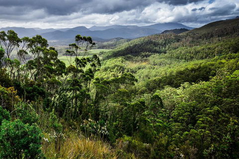 3-Day Tour To The Falls, Mountains, Lake & More Of West Coast Tasmania - Sydneys Hotel 0