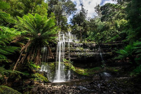 3-Day Tour To The Falls, Mountains, Lake & More Of West Coast Tasmania - Sydneys Hotel 4