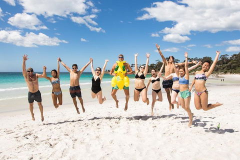 5-Day Lap Of Tasmania Tour From Hobart (flexible Ticket) - Sydneys Hotel 4