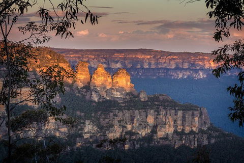 Private Blue Mountains Tour With Kangaroo And Koala Experience - Sydneys Hotel 1