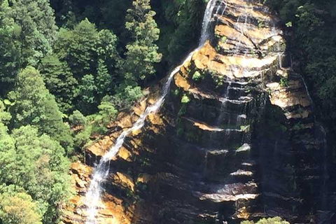 Private Blue Mountains Tour With Kangaroo And Koala Experience - Sydneys Hotel 5