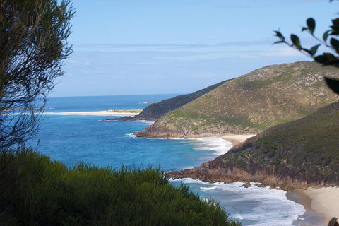 Private Port Stephens Day Trip From Sydney Including Dolphin Cruise - Sydneys Hotel 0