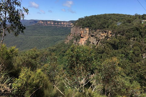 Full-Day Private Blue Mountains Tour With River Cruise - Sydneys Hotel 1