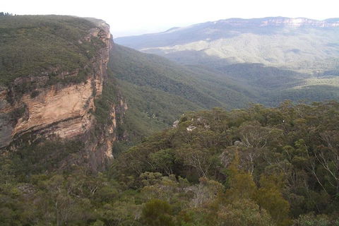 Full-Day Private Blue Mountains Tour With River Cruise - Sydneys Hotel 3