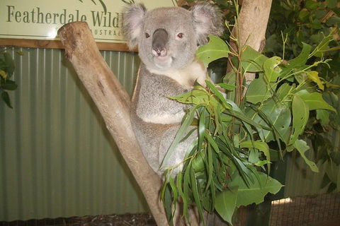 Private All Blue Mountains Day Tour - Sydneys Hotel 0