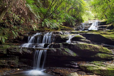 Private All Blue Mountains Day Tour - Sydneys Hotel 1