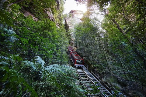 Private All Blue Mountains Day Tour - Sydneys Hotel 3