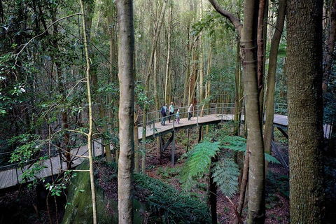 Private All Blue Mountains Day Tour - Sydneys Hotel 4