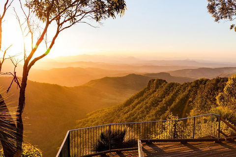 O'Reilly's & Lamington National Park Incl. Alpaca Farm + Vineyard - Sydneys Hotel 0