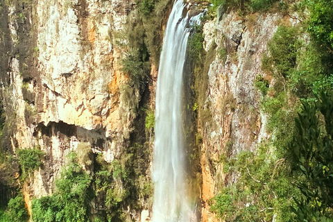 Natural Arch, Rainforest & Volcano Canyon - Private Half Day Tour - Sydneys Hotel 2