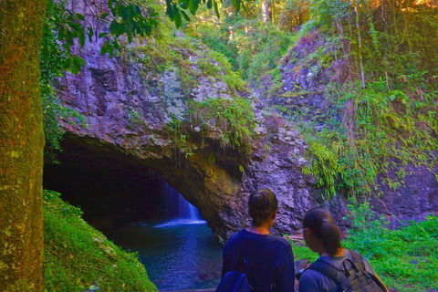 Natural Arch, Rainforest & Volcano Canyon - Private Half Day Tour - Sydneys Hotel 4
