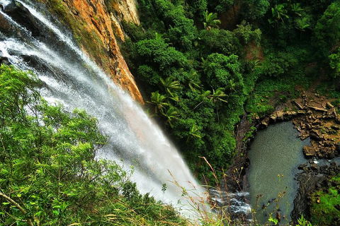 Natural Arch, Rainforest & Volcano Canyon - Private Half Day Tour - Sydneys Hotel 5