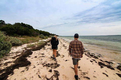Phillip Island And French Island Wildlife Expedition - Sydneys Hotel 1