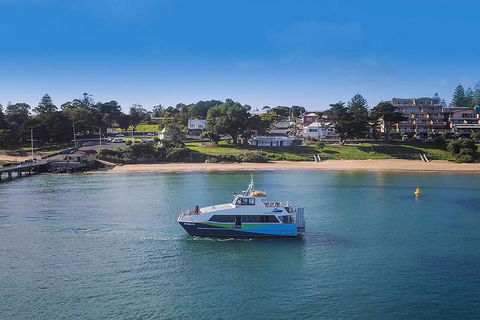 Phillip Island And French Island Wildlife Expedition - Sydneys Hotel 2