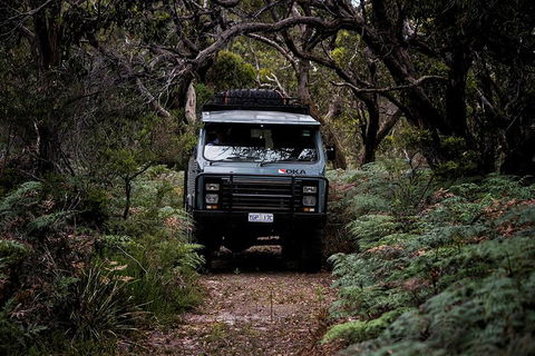 Phillip Island And French Island Wildlife Expedition - Sydneys Hotel 4