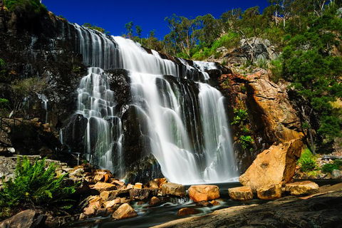 4 Day Group Camping Tour - Visit Grampians, Great Ocean Road And 12 Apostles - Sydneys Hotel 5