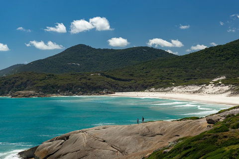 Wilsons Promontory Private 1 Day Tour - Sydneys Hotel 5
