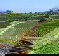 The Complete Hunter Valley Wine Tour of Pokolbin Mt View Lovedale and Rothbury - Sydneys Hotel