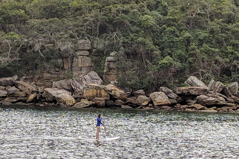 Manly & Sydney's Northern Beaches With 'Personalised Sydney Tours' - Sydneys Hotel 3