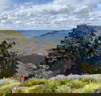 Blue Mountains Private Tour - wild kangaroos waterfalls and The Three Sisters - Sydneys Hotel
