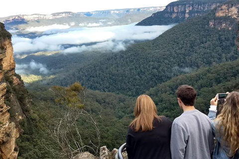 Blue Mountains Private Tour - Wild Kangaroos, Waterfalls And The Three Sisters - Sydneys Hotel 3