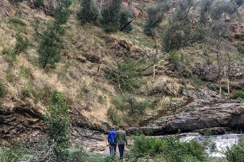 Grampians - Private Tour - Sydneys Hotel 0