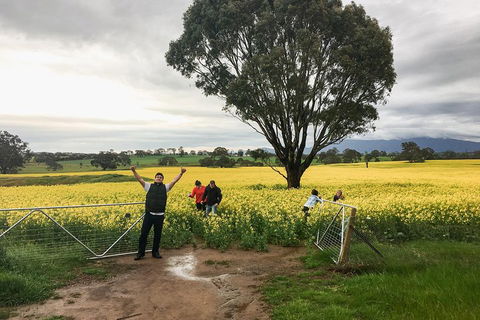 Grampians - Private Tour - Sydneys Hotel 2
