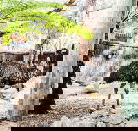 Sydney Taronga Zoo General Entry Ticket and Wild Australia Experience - Sydneys Hotel