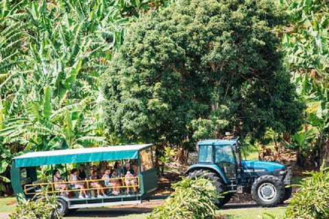 Tropical Fruit World With Wildlife Boat Cruise From Gold Coast - Sydneys Hotel 1
