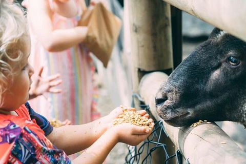 Tropical Fruit World With Wildlife Boat Cruise From Gold Coast - Sydneys Hotel 5