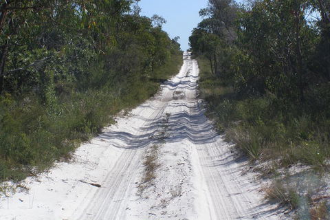 Stradbroke Island 4WD Day Trip From Brisbane - Sydneys Hotel 2