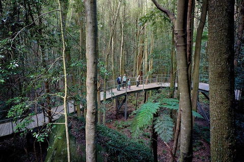 Blue Mountains PRIVATE Day Tour - Sydneys Hotel 5