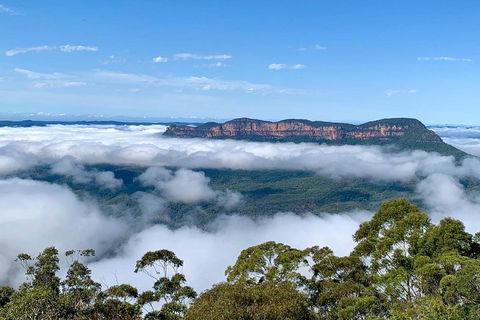 Small-Group Blue Mountains Tour With A Local Guide - Sydneys Hotel 4
