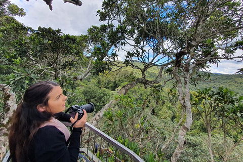 Lamington National Park, O'Reilly's & Vineyard Tour - Sydneys Hotel 1