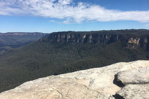 The Explorers' Discovery Tour - Gold, Wine & Wildlife - Sydneys Hotel 1