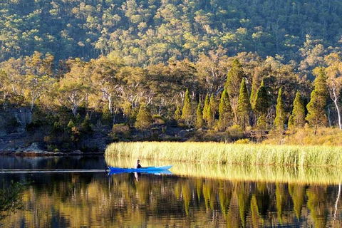 The Explorers' Discovery Tour - Gold, Wine & Wildlife - Sydneys Hotel 2