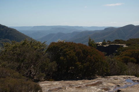 The Explorers' Discovery Tour - Gold, Wine & Wildlife - Sydneys Hotel 3