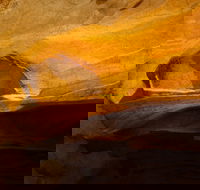 From the Mountains to the Bay - 4 Day Rediscovery Small Group Tour - Sydneys Hotel