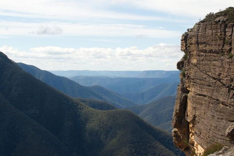 Inside The Greater Blue Mountains World Heritage - A Wildlife Safari Overnight - Sydneys Hotel 4